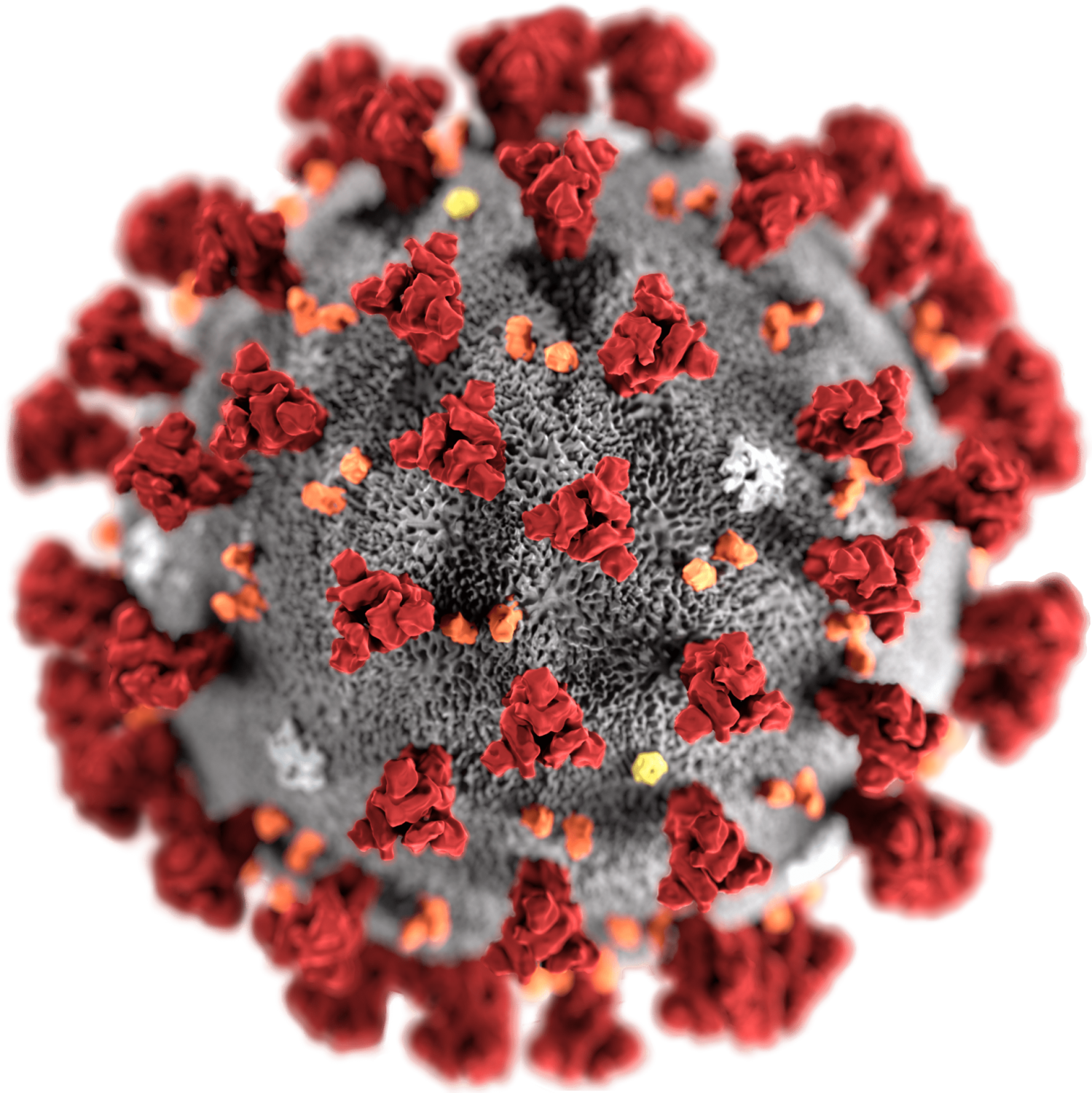 COVID-19 Vaccine